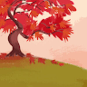 Meet your Posher, Dee